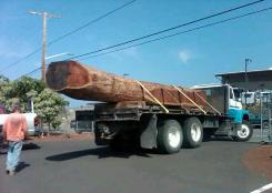 Koa logo being delivered to Pure Canoes